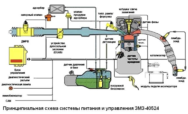 Scheme of the ZMZ-40524 engine control system