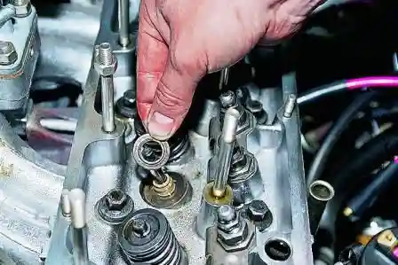 также верхнюю