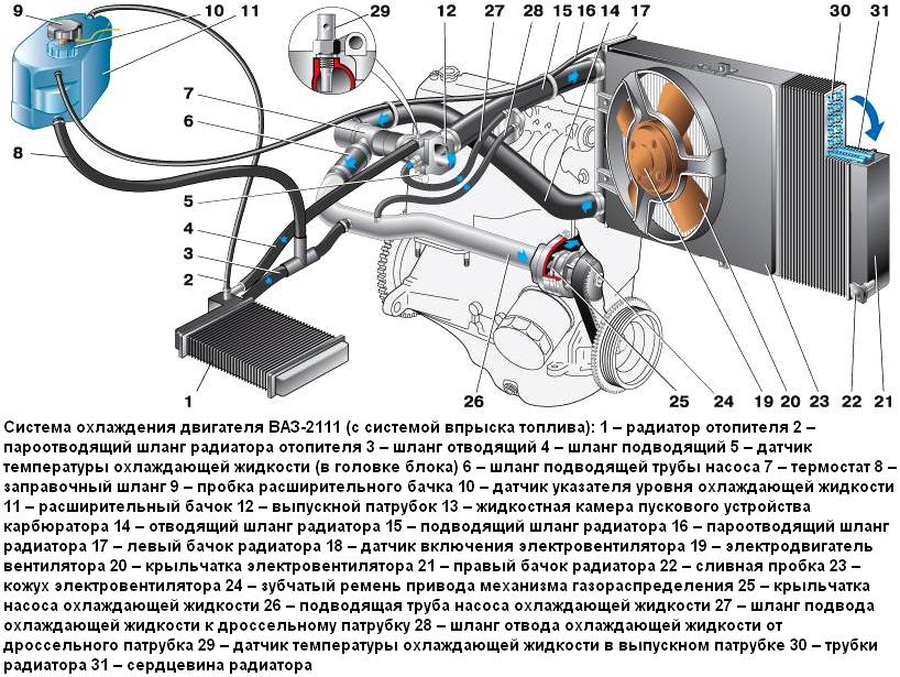 Конструкция системы охлаждения двигателя ВАЗ-2110, ВАЗ-2111