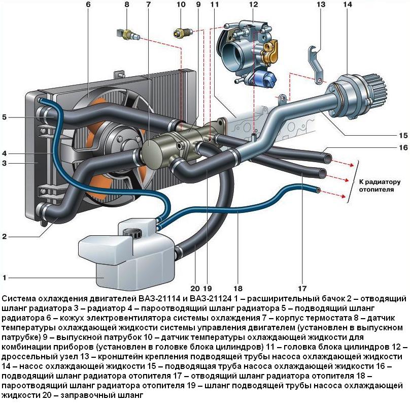 Особенности системы охлаждения двигателя ВАЗ-21124 автомобиля ВАЗ-2110