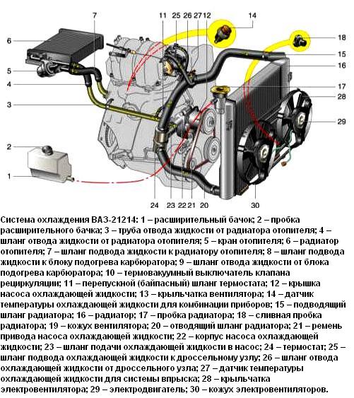 Система охлаждения двигателя и замена охлаждающей жидкости ВАЗ-21213