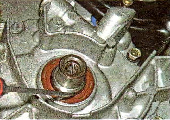 Kurbelwellen-Öldichtungen am VAZ-21114-Motor ersetzen