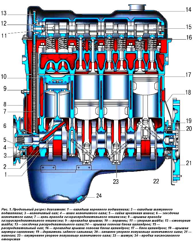 Longitudinal section of the VAZ-2123 engine