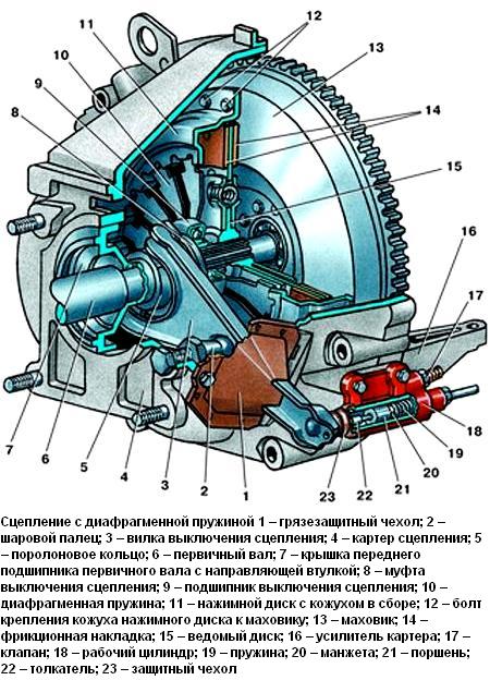 Сцепление с диафрагменной пружиной ГАЗ-3110