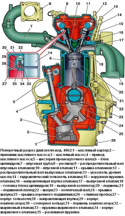 Поперечный разрез двигателя мод. ЗМЗ-406 