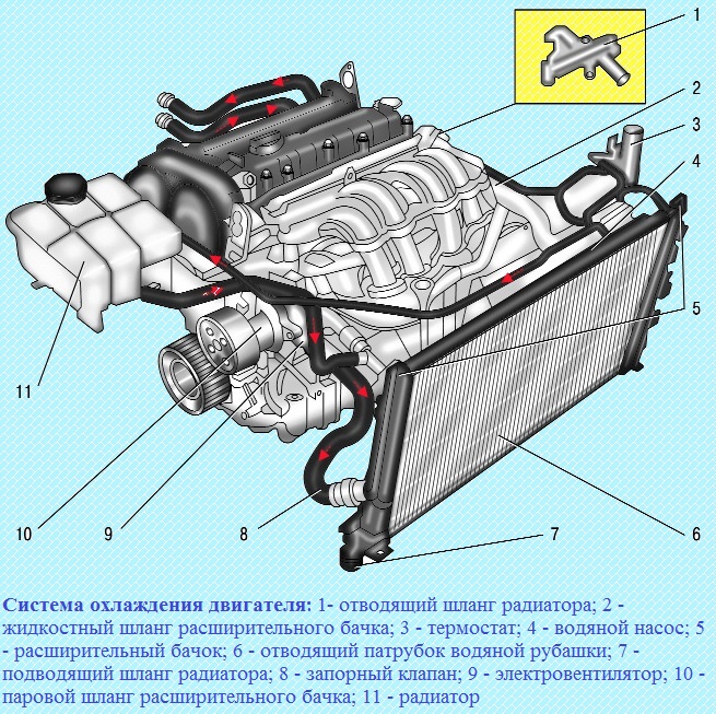 Система охлаждения двигателя Ford Focus