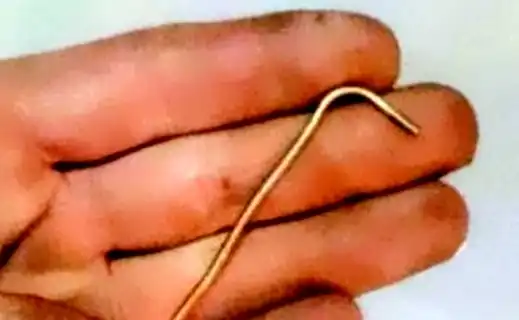 Проверка и доливка масла в коробку передач Ford Focus