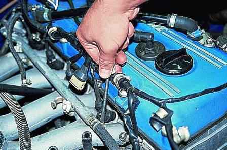 Überprüfung und Austausch der Einspritzdüsen des Gazelle-Automotors