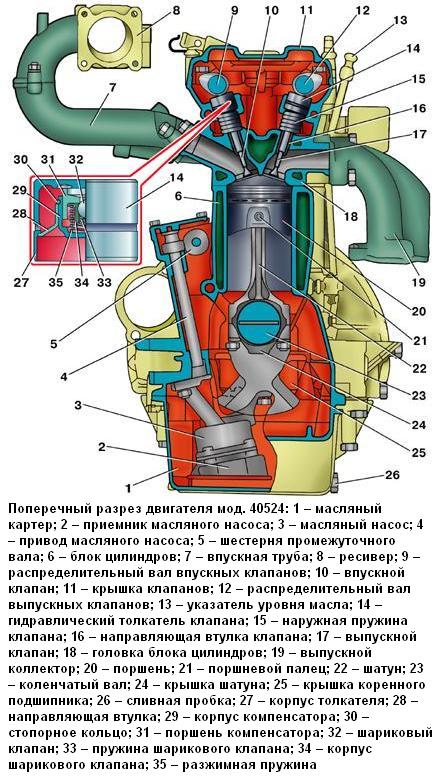 Поперечный разрез двигателя ЗМЗ-40524