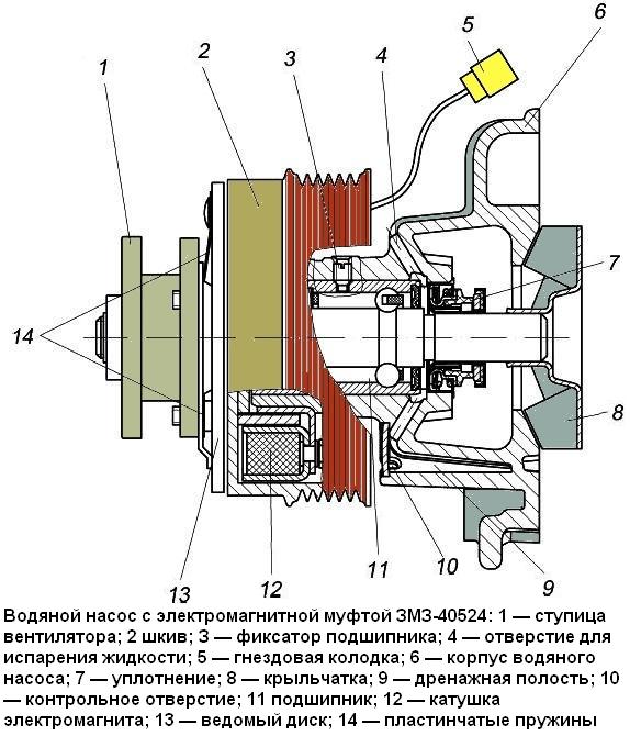 Конструкция, замена водяного насоса двигателя ЗМЗ-40524