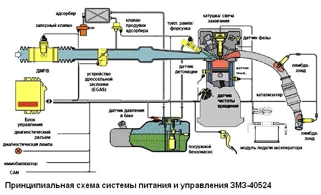 Esquema del sistema de control del motor ZMZ-40524