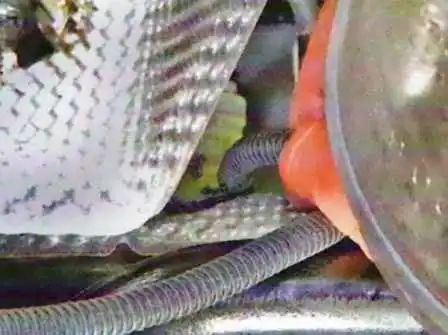 How to remove the steering gear of a Lada Largus How to remove a steering gear of a Lada Largus