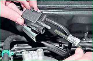 So entfernen Sie die Elemente des Chevrolet Niva-Benzindampfrückgewinnungssystems