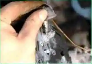 Снятие и установка генератора Niva Chevrolet