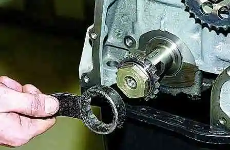 Reemplazo de la cadena de transmisión del árbol de levas VAZ-2123