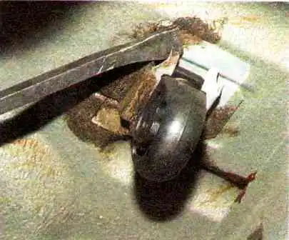 VAZ-21114 қозғалтқышын шығару жүйесі