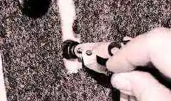 Reemplazo del cable del acelerador ZMZ-409