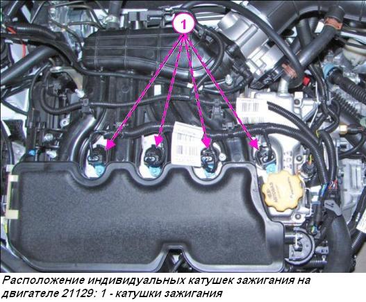 Расположение индивидуальных катушек зажигания на двигателе 21129