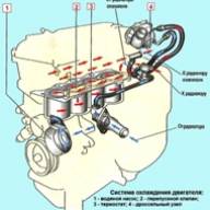 The design of the engine cooling system 2AZ-FE car Toyota Camry